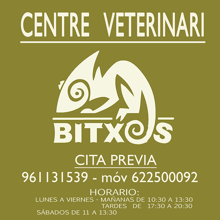 veterinario burjassot